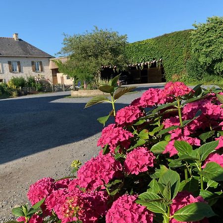 Le Moulin De La Fosse Soucy "La Maison Du Meunier" Villa Maisons  Exterior foto