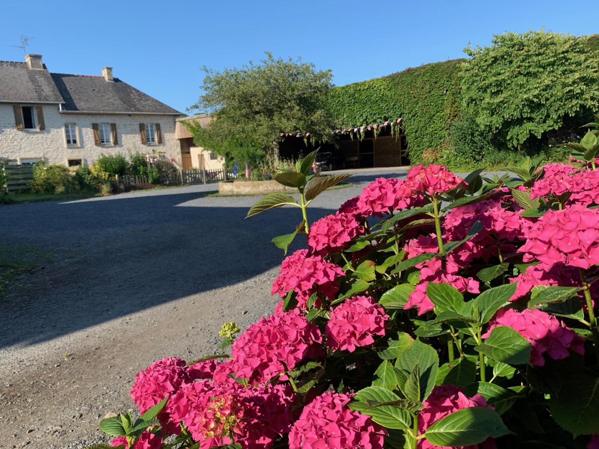 Le Moulin De La Fosse Soucy "La Maison Du Meunier" Villa Maisons  Exterior foto